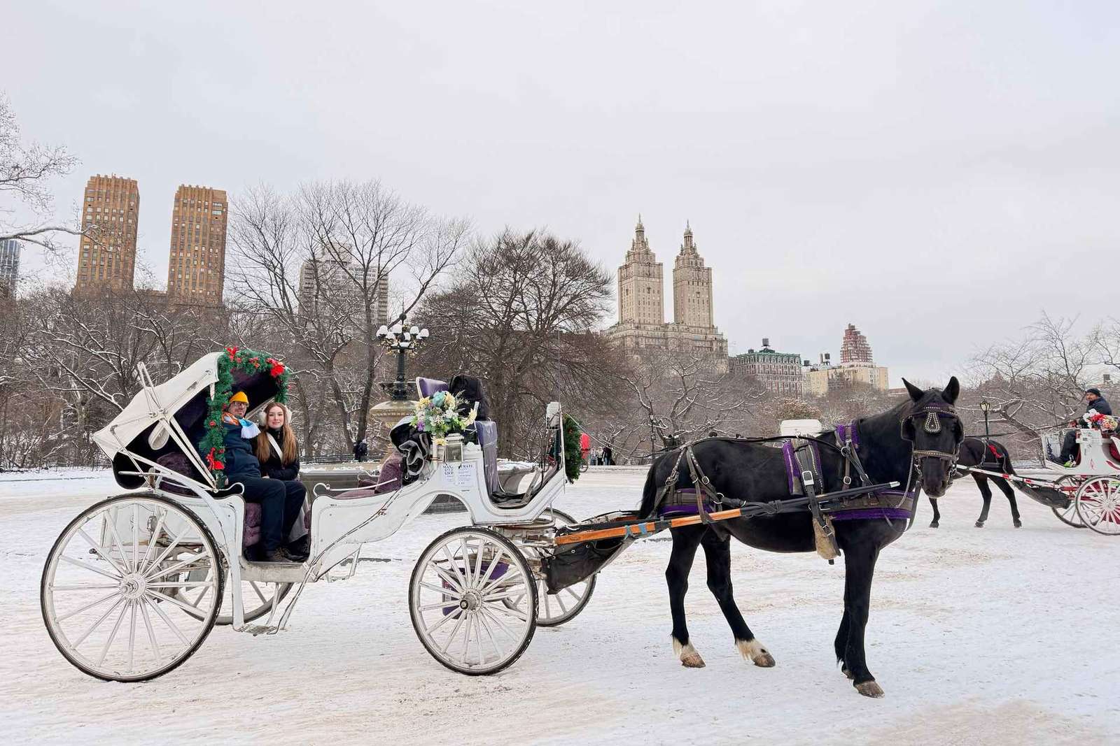 Nova Iorque: incrível passeio de carruagem e cavalo no Central Park com guia