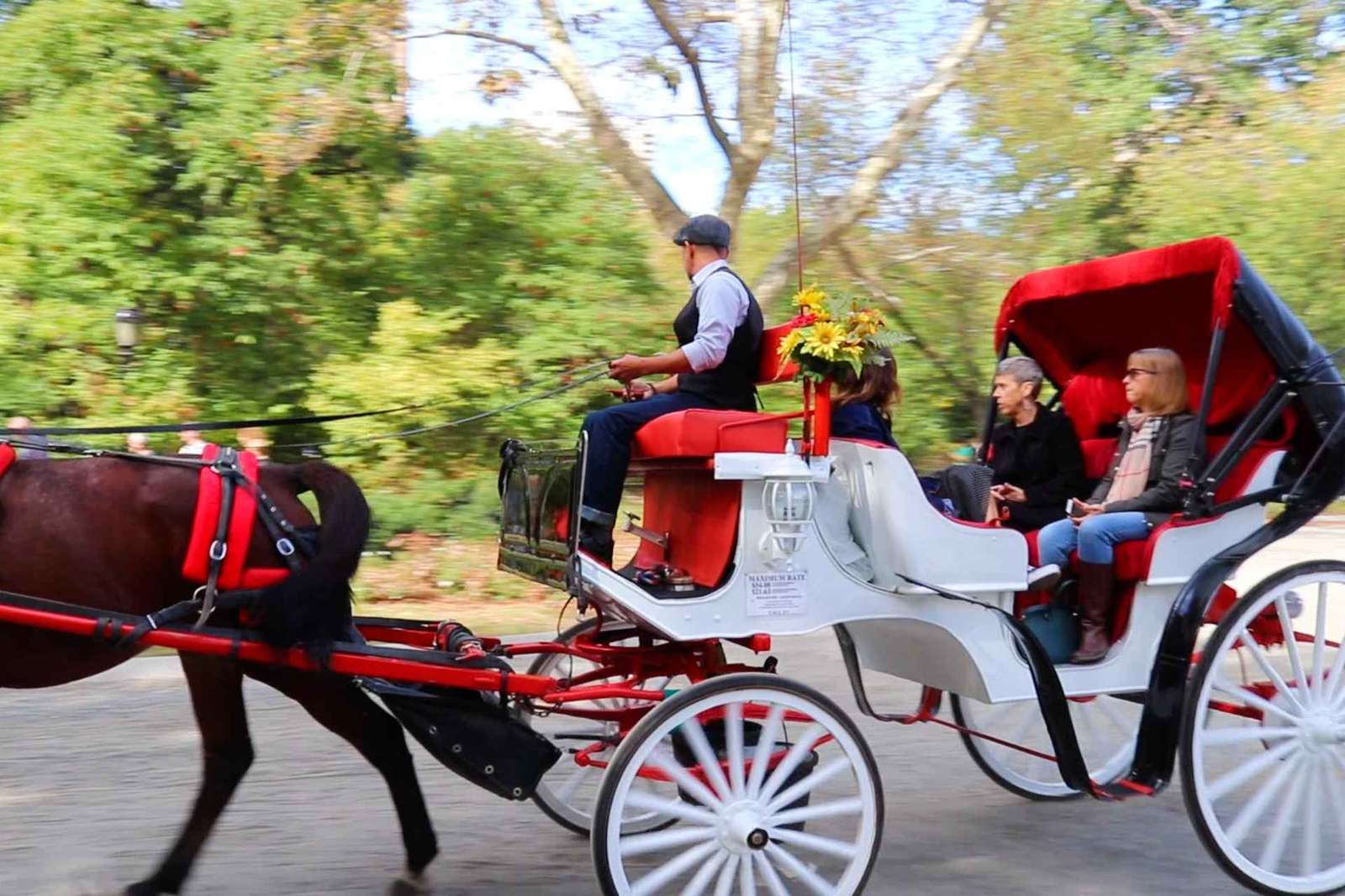 NYC: Passeio guiado de carruagem standard no Central Park (4 adultos)