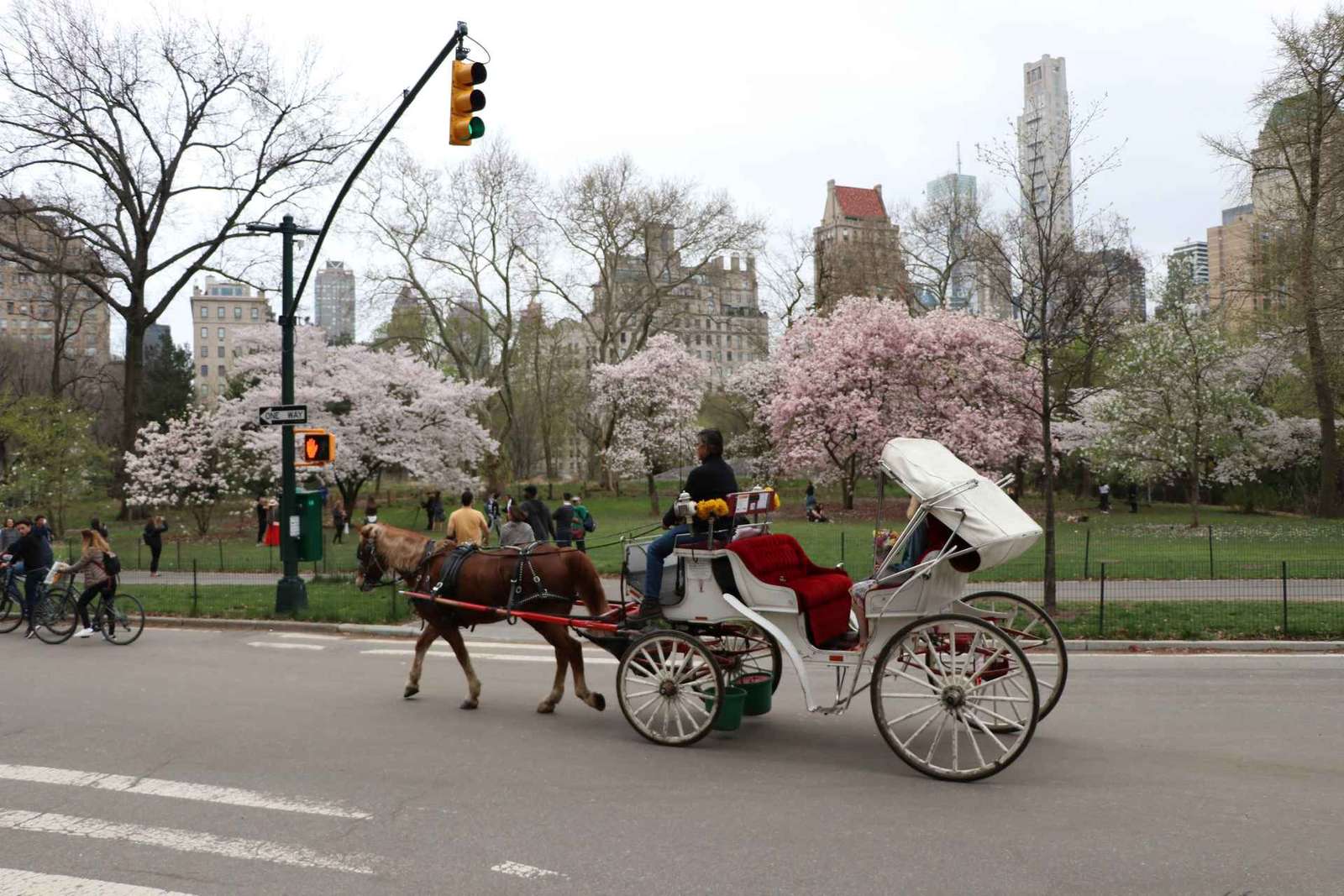 Nova York: Passeio de carruagem pelo Central Park