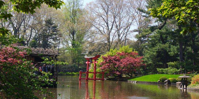 Jardim Botânico do Brooklyn