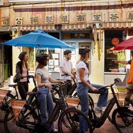Passeio de bicicleta pelo centro da cidade com a Stylish Dutch Bikes!