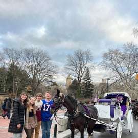 NYC: Passeio particular de carruagem a cavalo pelo Central Park com guia