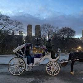 Nova Iorque: incrível passeio de carruagem e cavalo no Central Park com guia