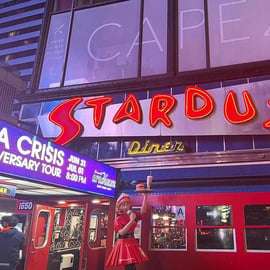 NYC: Passeio privativo de limusine com Home Alone 2 e pizza