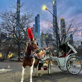 NYC: Passeio de Carruagem Oficial com Guia no Central Park