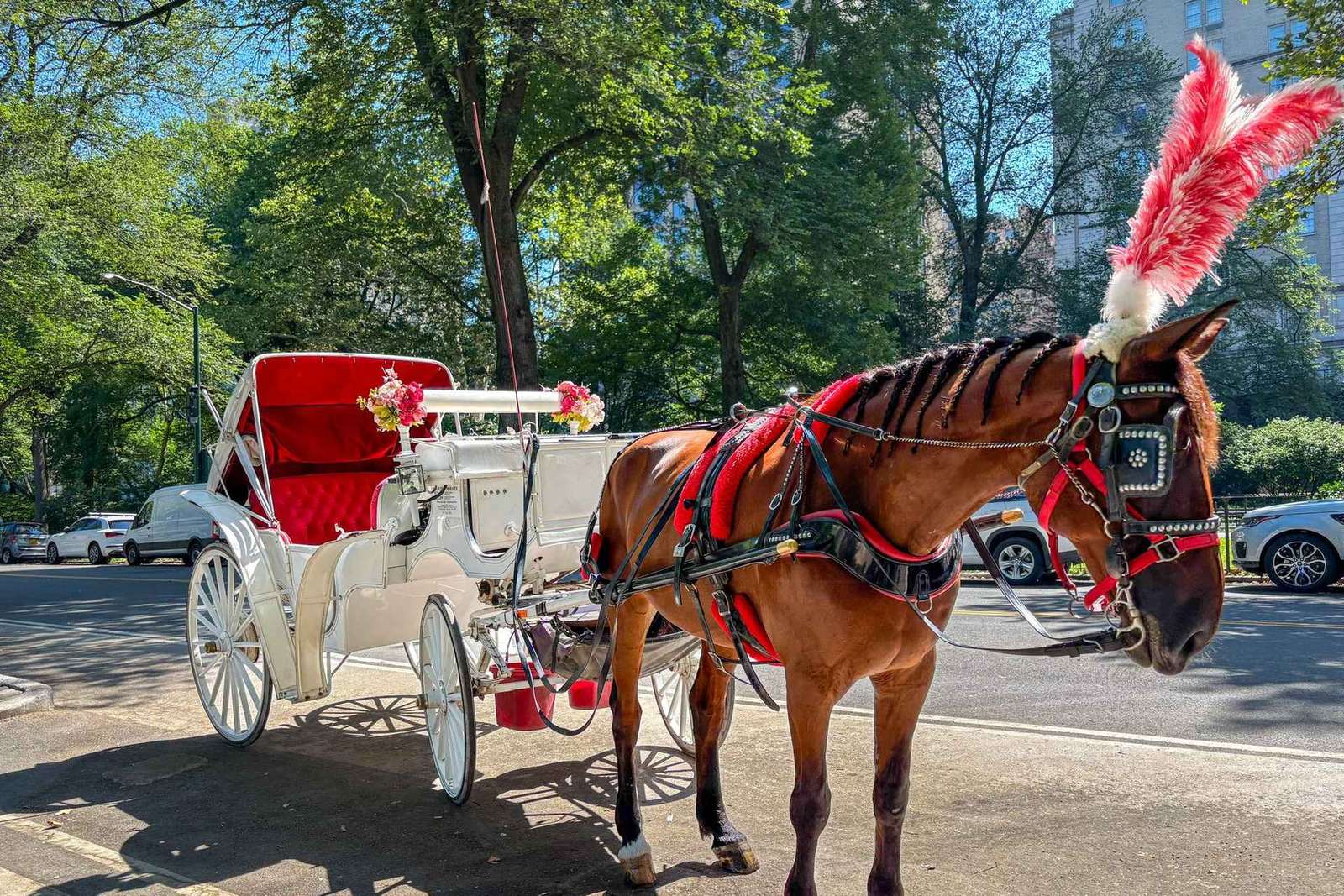 NYC: Passeio de Carruagem Oficial com Guia no Central Park