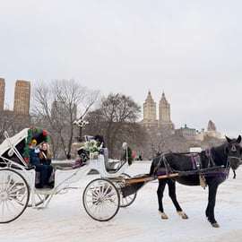 Nova Iorque: incrível passeio de carruagem e cavalo no Central Park com guia