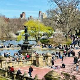 NYC: Passeio de Pedicab no Central Park / Paragens para fotografias