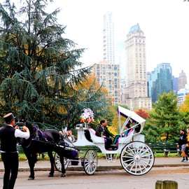 NYC: Passeio guiado de carruagem standard no Central Park (4 adultos)