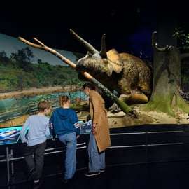 Nova Iorque: Museu Americano de História Natural Ingresso
