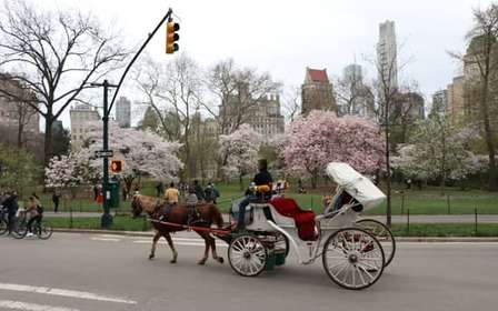 Nova York: Passeio de carruagem pelo Central Park