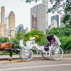 NYC: Passeio guiado de carruagem a cavalo pelo Central Park