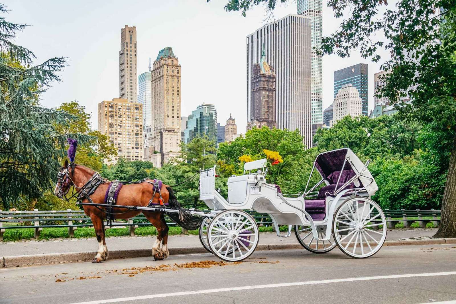NYC: Passeio guiado de carruagem a cavalo pelo Central Park