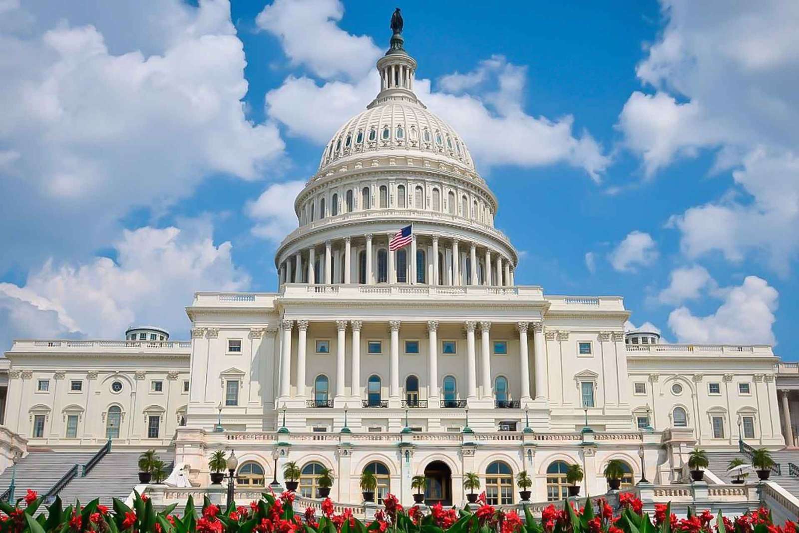 De NYC: Viagem guiada de 1 dia a Washington DC em carrinha ou autocarro