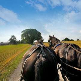 De Nova York: Viagem de 1 dia para a Filadélfia e Amish Country