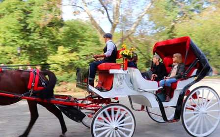NYC: Passeio guiado de carruagem standard no Central Park (4 adultos)
