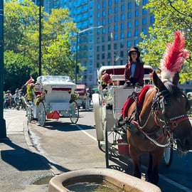 NYC: Passeio de Carruagem Oficial com Guia no Central Park