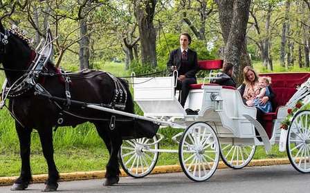 Passeio guiado de carruagem a cavalo pelo Central Park e por Nova York