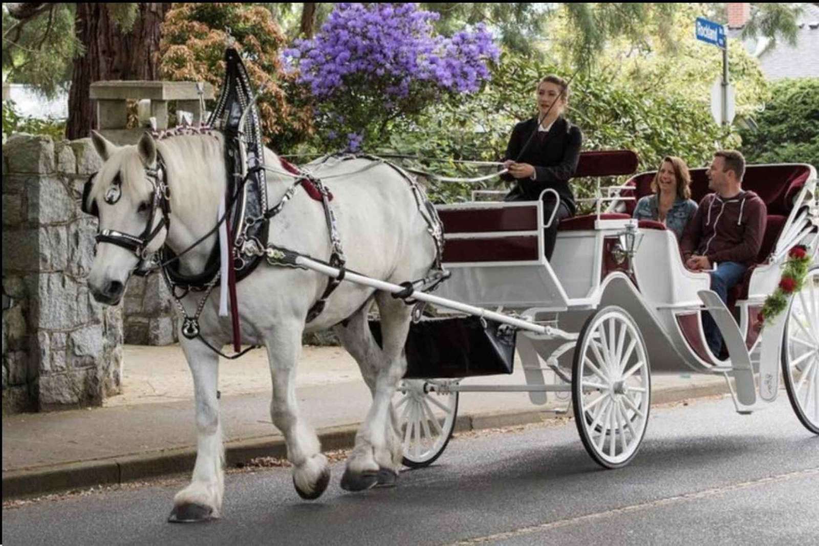 NYC: Passeio particular de carruagem a cavalo pelo Central Park com guia