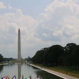 De NYC: Viagem guiada de 1 dia a Washington DC em carrinha ou autocarro