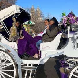 NYC: Passeio particular de carruagem a cavalo pelo Central Park com guia