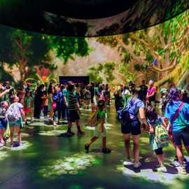 Nova Iorque: Museu Americano de História Natural Ingresso