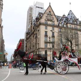 Nova York: Passeio de carruagem pelo Central Park