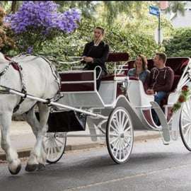NYC: Passeio particular de carruagem a cavalo pelo Central Park com guia