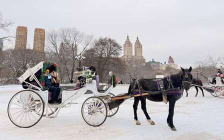 Nova Iorque: incrível passeio de carruagem e cavalo no Central Park com guia