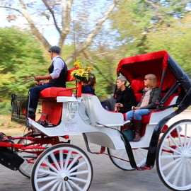 NYC: Passeio guiado de carruagem standard no Central Park (4 adultos)