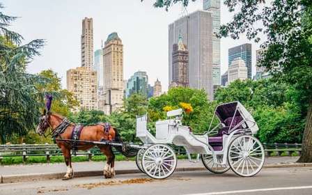 NYC: Passeio guiado de carruagem a cavalo pelo Central Park