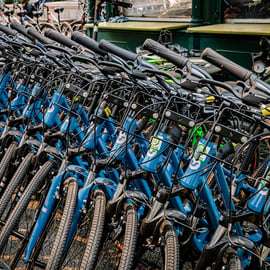 NYC: Aluguer de bicicletas no Central Park