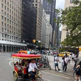 Central Park: passeio guiado de pedicab com paradas para fotos
