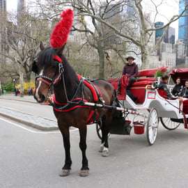 Nova York: Passeio de carruagem pelo Central Park