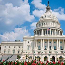 De NYC: Viagem guiada de 1 dia a Washington DC em carrinha ou autocarro