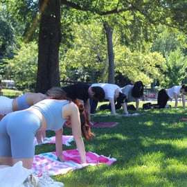 Central Park: a aula de ioga mais bem avaliada da cidade de Nova York!