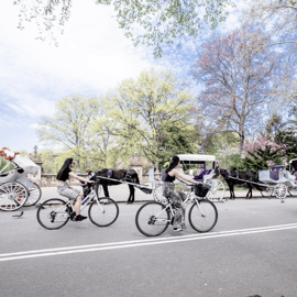 Nova Iorque: Aluguel de Bicicleta, Bicicleta Elétrica e Scooter no Central Park
