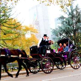 NYC: Passeio de carruagem puxada por cavalos no Central Park (até 4 adultos)