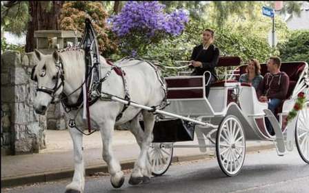 NYC: Passeio particular de carruagem a cavalo pelo Central Park com guia
