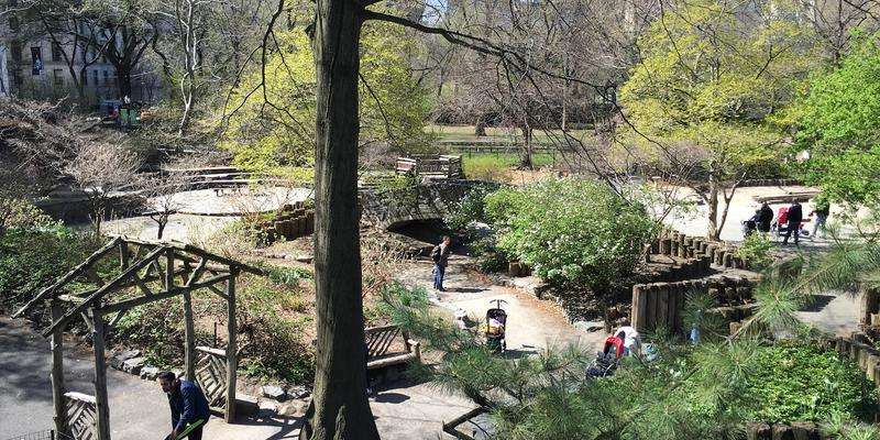 Billy Johnson Playground, Central Park