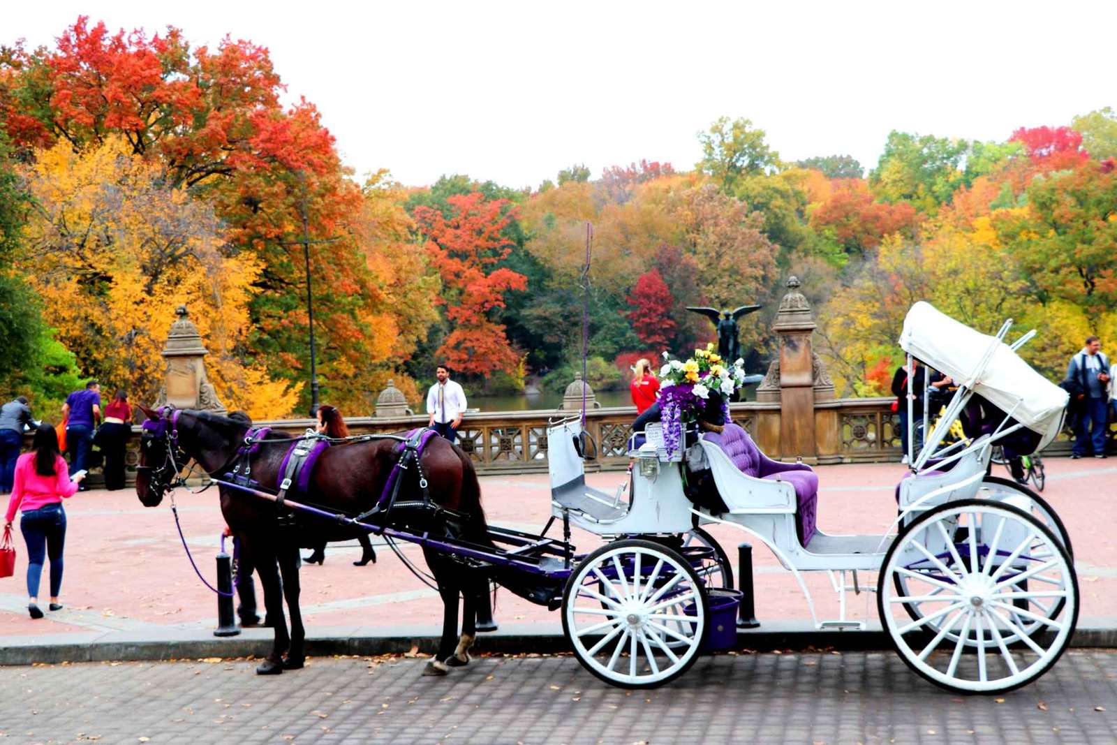 NYC: Passeio de carruagem puxada por cavalos no Central Park (até 4 adultos)